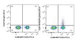IFN gamma Antibody in Flow Cytometry (Flow)