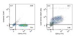CD62P Antibody in Flow Cytometry (Flow)