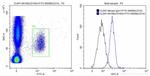 CD163 Antibody in Flow Cytometry (Flow)