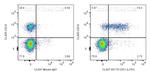 CD1c Antibody in Flow Cytometry (Flow)