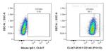 CD146 Antibody in Flow Cytometry (Flow)