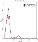 CD21 Antibody in Flow Cytometry (Flow)