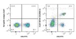 CD4 Antibody in Flow Cytometry (Flow)