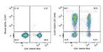 CD7 Antibody in Flow Cytometry (Flow)