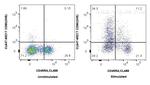 CD80 Antibody in Flow Cytometry (Flow)