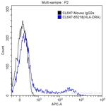 HLA-DR Antibody in Flow Cytometry (Flow)