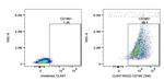 ALCAM Antibody in Flow Cytometry (Flow)