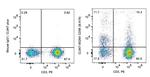 CD56 Antibody in Flow Cytometry (Flow)