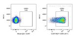 CD55 Antibody in Flow Cytometry (Flow)