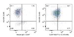 IL-12 Antibody in Flow Cytometry (Flow)