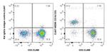CD19 Antibody in Flow Cytometry (Flow)