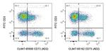 CD73 Antibody in Flow Cytometry (Flow)