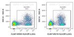 HLA-DR Antibody in Flow Cytometry (Flow)