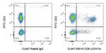 CD8 Antibody in Flow Cytometry (Flow)