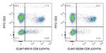 CD8 Antibody in Flow Cytometry (Flow)
