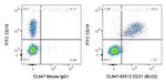 CD21 Antibody in Flow Cytometry (Flow)