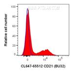 CD21 Antibody in Flow Cytometry (Flow)
