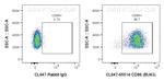 CD86 Antibody in Flow Cytometry (Flow)