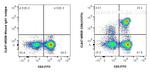 CD8 Antibody in Flow Cytometry (Flow)