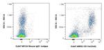 CD11b Antibody in Flow Cytometry (Flow)