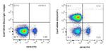 CD3 Antibody in Flow Cytometry (Flow)