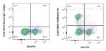 CD45RA Antibody in Flow Cytometry (Flow)