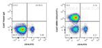 CD3 Antibody in Flow Cytometry (Flow)