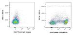 CD43 Antibody in Flow Cytometry (Flow)