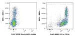 CD11a Antibody in Flow Cytometry (Flow)