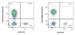 CD3 Antibody in Flow Cytometry (Flow)