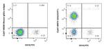 CD3 Antibody in Flow Cytometry (Flow)