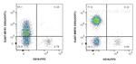CD3 Antibody in Flow Cytometry (Flow)