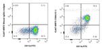 CD64 Antibody in Flow Cytometry (Flow)