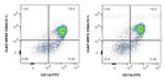 CD64 Antibody in Flow Cytometry (Flow)