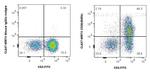 CD26 Antibody in Flow Cytometry (Flow)