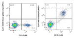 CD20 Antibody in Flow Cytometry (Flow)