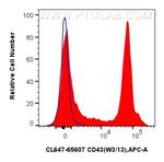 CD43 Antibody in Flow Cytometry (Flow)