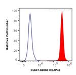 RBAP48 Antibody in Flow Cytometry (Flow)