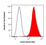 DEK Antibody in Flow Cytometry (Flow)