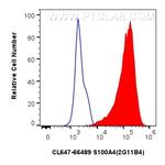 S100A4 Antibody in Flow Cytometry (Flow)