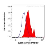 GRP78/BIP Antibody in Flow Cytometry (Flow)