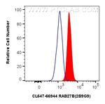 RAB27B Antibody in Flow Cytometry (Flow)