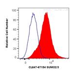 SUMO2/3 Antibody in Flow Cytometry (Flow)