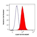 MGMT Antibody in Flow Cytometry (Flow)