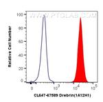 Drebrin Antibody in Flow Cytometry (Flow)