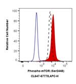 Phospho-mTOR (Ser2448) Antibody in Flow Cytometry (Flow)