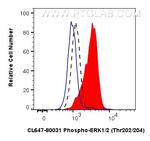 Phospho-ERK1/2 (Thr202, Tyr204) Antibody in Flow Cytometry (Flow)