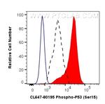Phospho-P53 (Ser15) Antibody in Flow Cytometry (Flow)