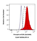 Phospho-mTOR (Ser2448) Antibody in Flow Cytometry (Flow)