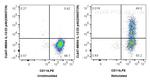 IL-12/IL-23 p40 Antibody in Flow Cytometry (Flow)